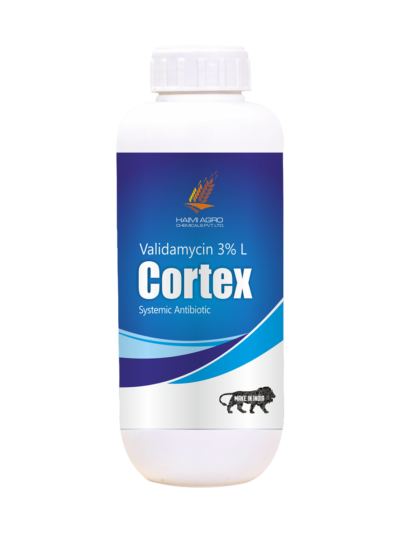 CORTEX