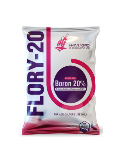 FLORY-20