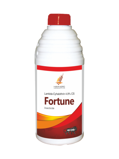 FORTUNE