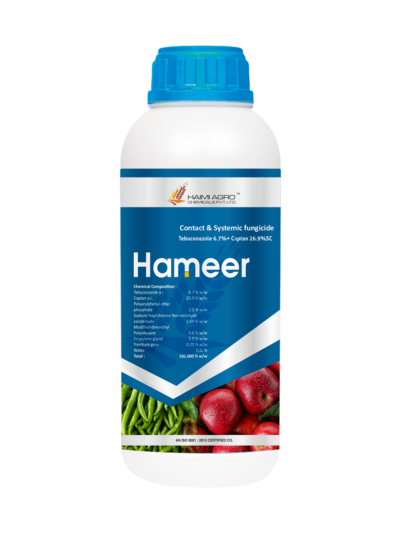 HAMEER