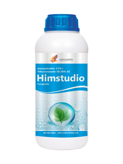 HIMSTUDIO